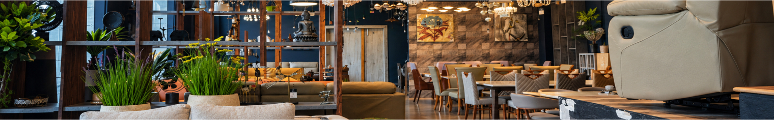 Casa Living showroom interior